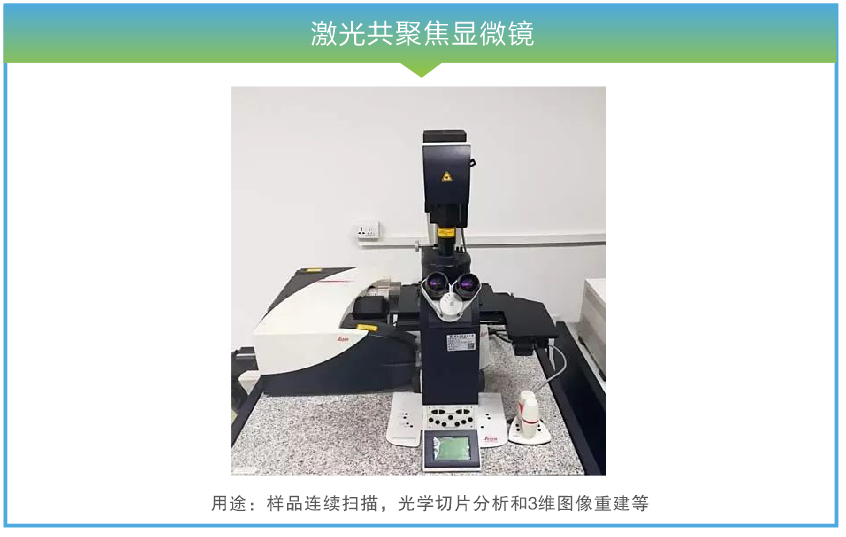 激光共聚焦显微镜.png
